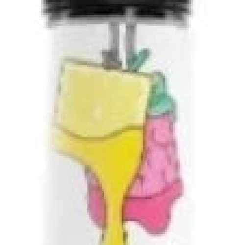 Unreal 2 – Lemon & Raspberry (Shortfill)